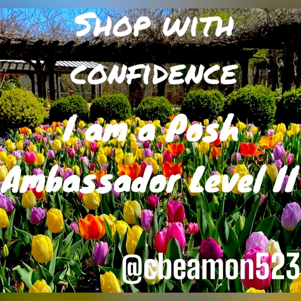 POSH AMBASSADOR II